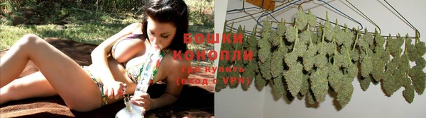 прущий лед Дмитриев