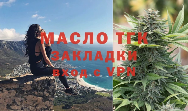 прущий лед Дмитриев
