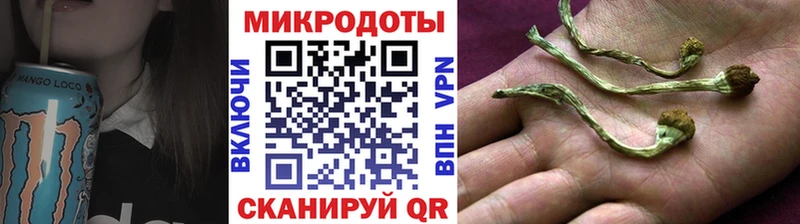 купить закладку  Омск  Галлюциногенные грибы Psilocybine cubensis 