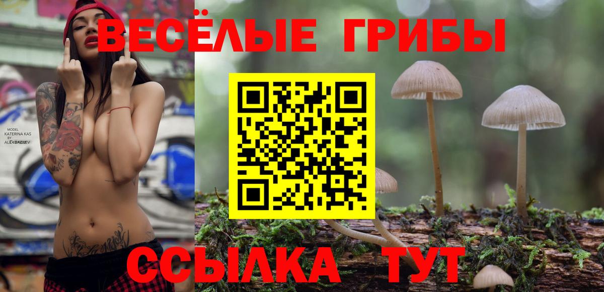 Галлюциногенные грибы мицелий  Галлюциногенные грибы Cubensis  Вход с VPN  Омск 